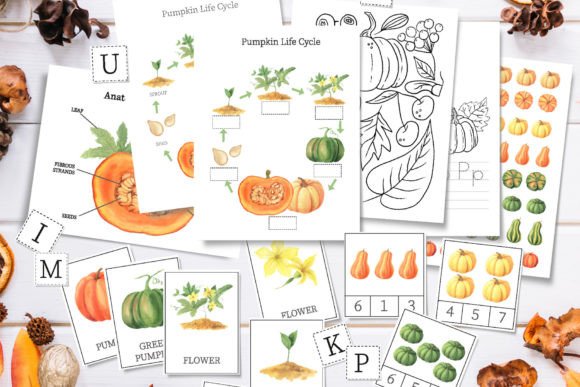 Download Pumpkin Unit Study, Fall Worksheet - Premium Bundle