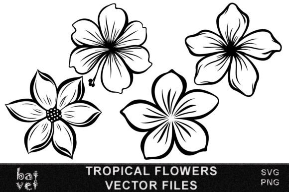 Download Tropical Flower SVG Vector Bundle Design - Bundle design Collection